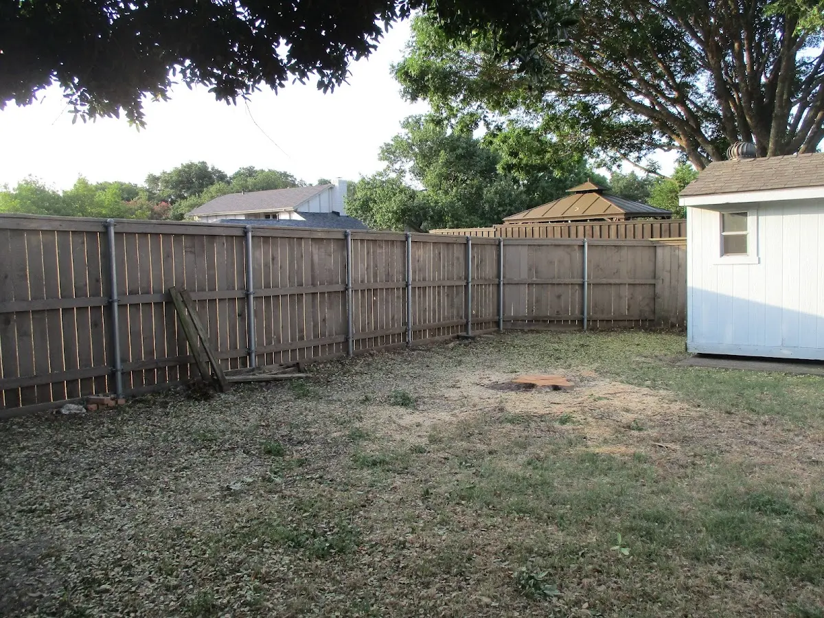 Cleared yard after professional tree removal in Valley Ford